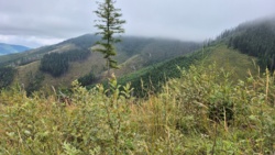 8b027a89-a9cc-4c87-99c0-4104d2ba4d12