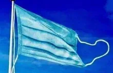 Traktat pandemiczny WHO czyli odgórne centralne sterowanie pandemią