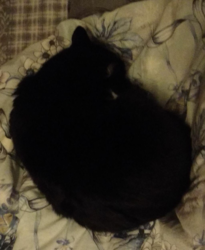 b7981473-660e-4355-9bbd-de0e854d49ba