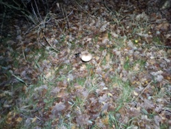 63fdd12c-55f3-4fa1-bc01-6cf168d6a2d7