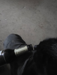 98b56a8d-8fbb-436f-a00f-19927138bf55