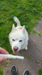 037dadb0-4d50-4842-9fe9-dab23d0e27bc