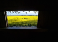 b39c0637-09e3-491c-aa04-25d402a7aff0