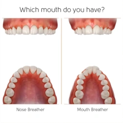 fc499cb1-1f83-46a1-8453-03b642b7c3e1