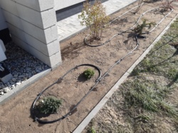 e31405c4-2229-4f61-b6b3-18c75fed1480