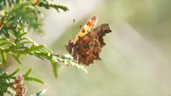 987a984f-bd8c-4d58-bc32-0588c926076a