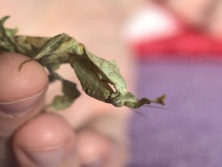 35e48df3-6387-4fa8-b87d-7a9eb25b1a5f