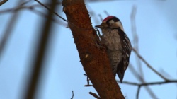 681f4b11-cf7d-404d-bed5-613065f79a1f