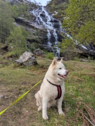 b8f8bd97-7682-48bf-b25d-e6964fdc4a5c