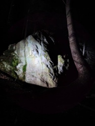 363fbb54-284d-492f-8804-d77a5a26b27e