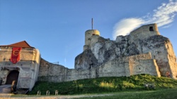 8a23f5e9-09e9-46ef-ba31-b5c1d3a0091d