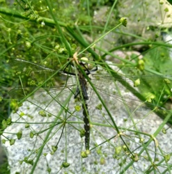 af4758b6-41b8-4630-b1ef-031141ff2c27