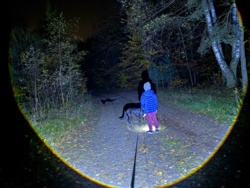 bd2747cc-b3a1-42ec-b555-9489cf028cd9