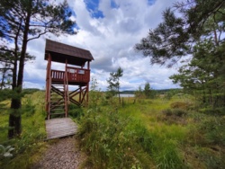 9e5b0c3d-2854-4a07-bce6-ba1f3e1c20f4