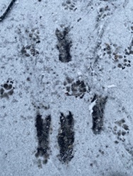 882cffe2-1637-4488-8fad-c1c4f899e8a3