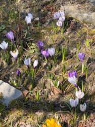 7be2081f-913a-4a23-8e71-f8d7a2a71b0e