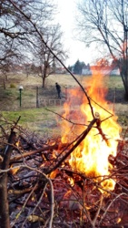 3d59e97d-ac4b-45e7-9a64-d4b8e3ea2abd