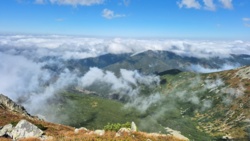 eaec0edf-de3e-41d5-a91e-f4b886e7d73c