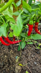 1d21965f-2fa3-4302-bd87-afb3ea34ec70