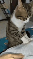 185d65f3-61c4-4333-ae31-f00d1b100a0c