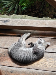 f2786aa3-bbcb-4dfe-a0df-3ba6dc68f73e