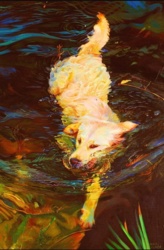 d0da68d5-f9fc-4dee-9fa6-480ffb908f7e