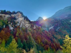 76aaba40-0810-4c2e-a4f9-91ca79bd8812