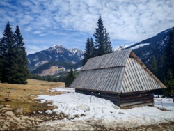 299b059f-1e0d-46c5-ac13-fa3f4d530abf