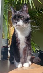 8e2cee6b-80c8-411e-a82b-ea6db0525f84