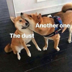 b76b2d20-9c37-43f8-abc5-4e1909772c99