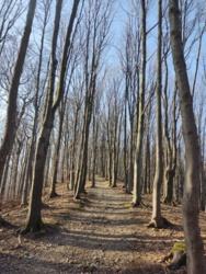 181af5ea-268a-47bc-87e5-890e24bea87b