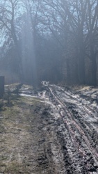 55f14d9d-c83b-47fa-bdb2-45c5f715dd10