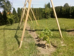 2e12d8b5-5463-463f-95c3-b98502f4beba