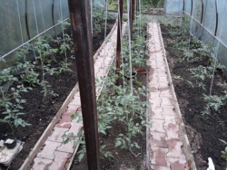 5803d77f-468f-4210-a7b4-c9cee72cb2b5