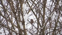 f04870ab-5933-4691-8b61-2a64e51467f9