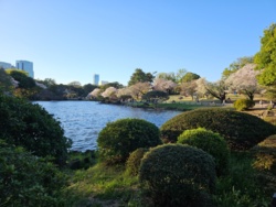 ae7ed638-6c32-445a-817c-4dfef6435ccb