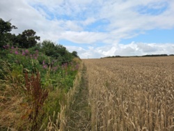 d4a2853f-6686-40ef-9472-84e2aaebfed8