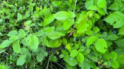 3852e4b3-091e-4275-adc7-22ad5dc206ef