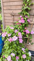 24509571-3b95-4b07-8442-a3f2feb0b5ec