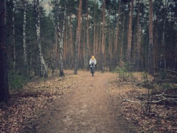 12644364-e498-4b6f-b8a2-2c4fa2951204