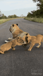 7e71fe0f-0713-400a-b75d-0c212ac5592f