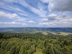 1811abc7-641b-40fa-8bd6-8e2ec35eec0d