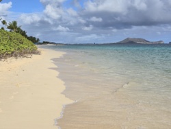 f50812f1-24b5-42ed-bae4-0728a1405710