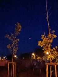 d359695d-a112-40e5-997d-32358b5d94c7