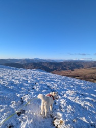 746dfe1b-8073-4b18-b24b-1a6c13a03d2d