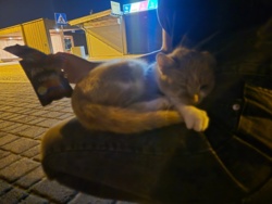 b1a62d36-9b5e-48dd-b3e1-d542f7971061