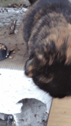 bd3636d1-70c9-4304-9112-85f2fcd23eab