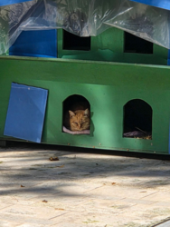 28ff7a7f-1618-4a2c-842f-11c11f177477