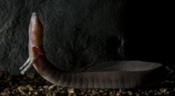 895e153b-12da-4a9c-be47-d45ca895ee9a