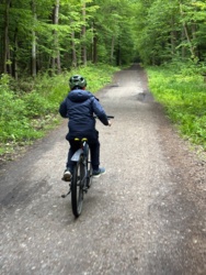 e9e12fa7-f21d-48a5-863e-473dcffa8cdc